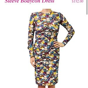Project Runway Brittany Allen Multicolor Bodycon Dress